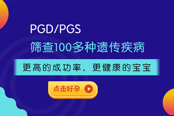 丁克族試管代孕_1 丁克族試管代孕_1