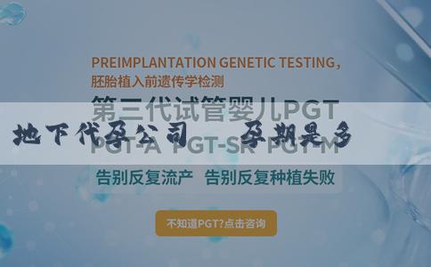 地下代孕公司 備孕期是多長時間?備孕期有哪些注意事項? 地下代孕公司 備孕期是多長時間?備孕期有哪些注意事項?