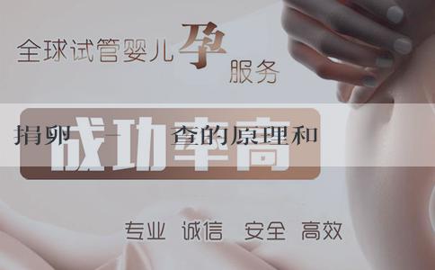 捐卵國際-宮頸篩查的原理和方法是什麼？要禁同房幾天？
