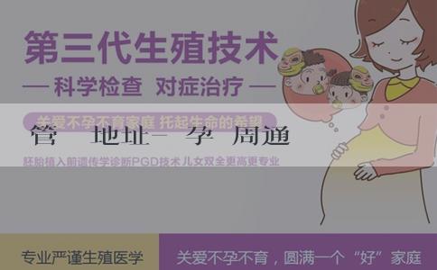 試管嬰兒地址-懷孕幾周通過B超可以看男孩女孩?懷孕有其他方法可以看男女嗎? 試管嬰兒地址-懷孕幾周通過B超可以看男孩女孩?懷孕有其他方法可以看男女嗎?
